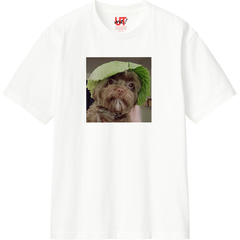 68c1dc0d 432f 4b26 b771 058913e12dcc 110 print ll