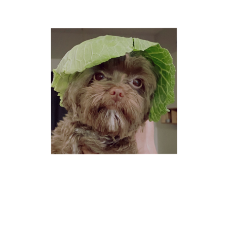 68c1dc0d 432f 4b26 b771 058913e12dcc s