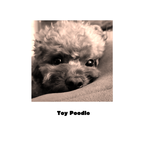 71133362 737f 471c 9206 84e3b69ab917 s