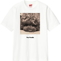 7ad763a8 a77d 463f 90fa b15ad737b670 110 print s