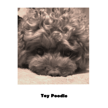 7ad763a8 a77d 463f 90fa b15ad737b670 s