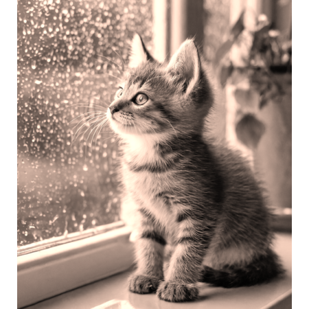 5bdb04f3 c32c 4528 b060 fe111be8c0e5 s