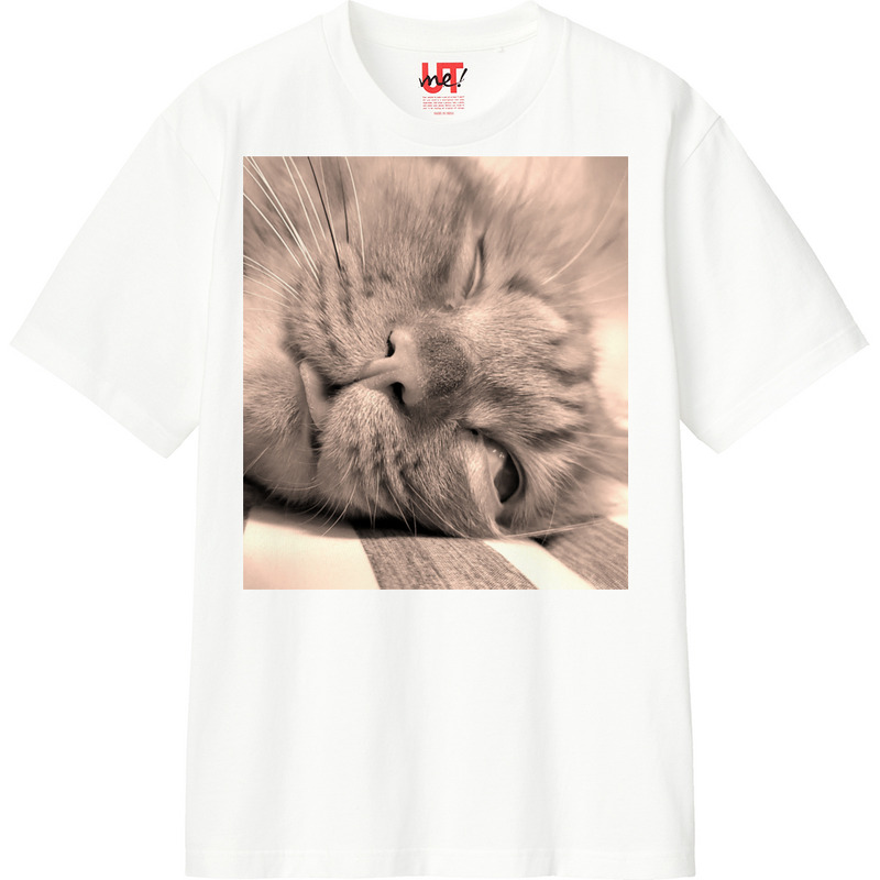 94e2363d ff38 404a 9cfb 17ece1d1e9ff 110 print ll