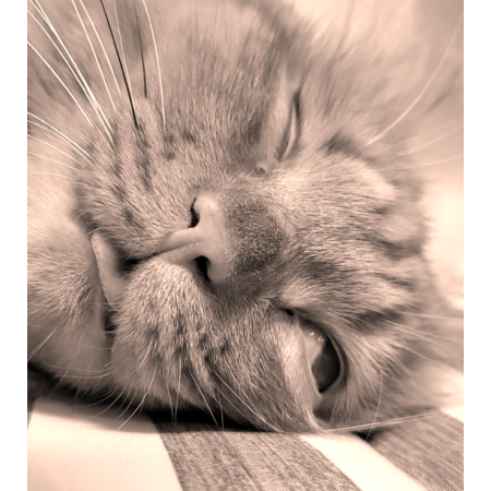 94e2363d ff38 404a 9cfb 17ece1d1e9ff s