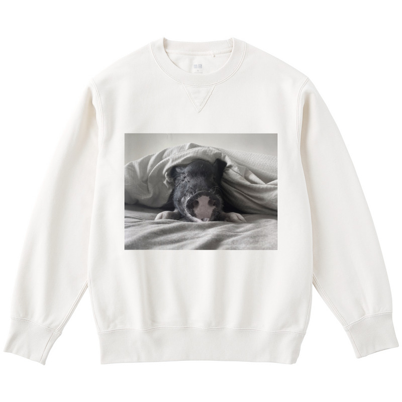 91cd1f66 cee0 4879 aa8b 1b95712abdab 122 print ll