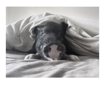 91cd1f66 cee0 4879 aa8b 1b95712abdab s