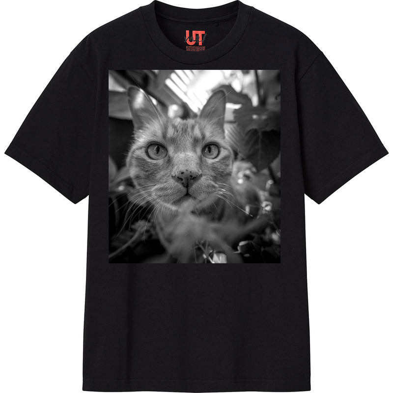 7d944db9 fa8b 4e9f 9a09 e2c0f7cf6958 111 print ll