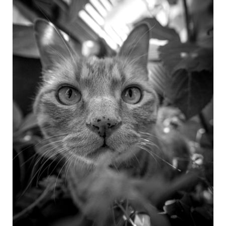 7d944db9 fa8b 4e9f 9a09 e2c0f7cf6958 s