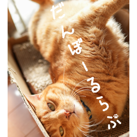 6fc5fcad 34ee 42de 92f6 03c67dd470d7 s