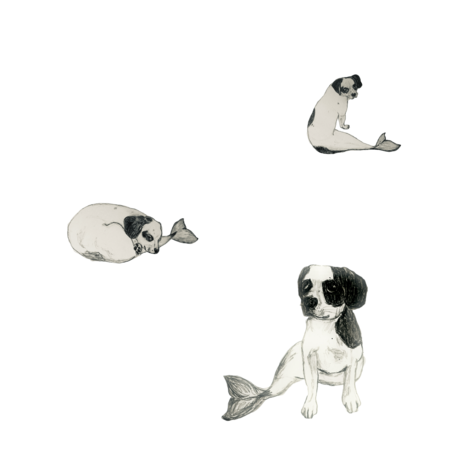 258f5b84 8bad 4cb0 8a7f 2f9f3e3970e2 s