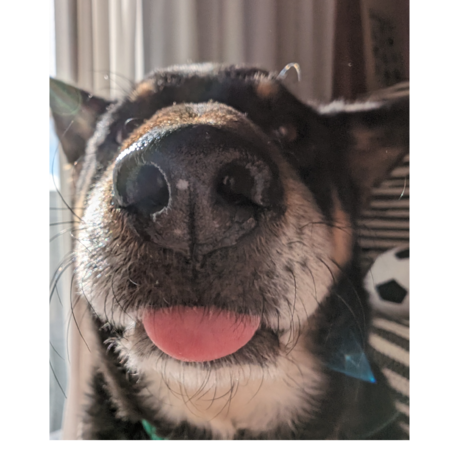 87429498 6059 4bc2 96a8 c6111aea89ee s