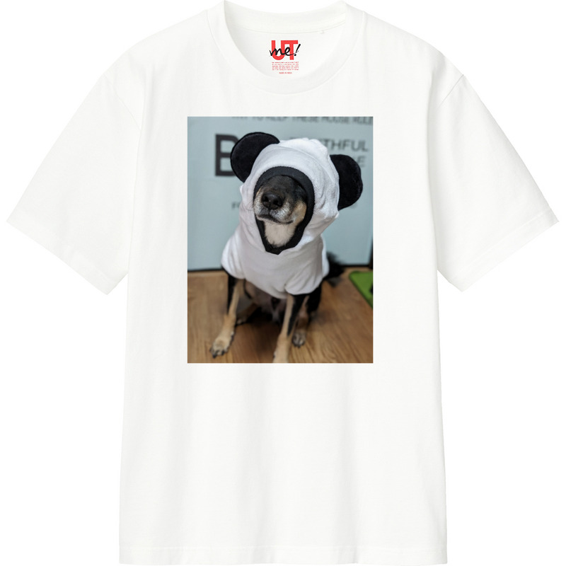 183c7eb1 8f3e 4981 8410 b82c1620ccbf 110 print ll