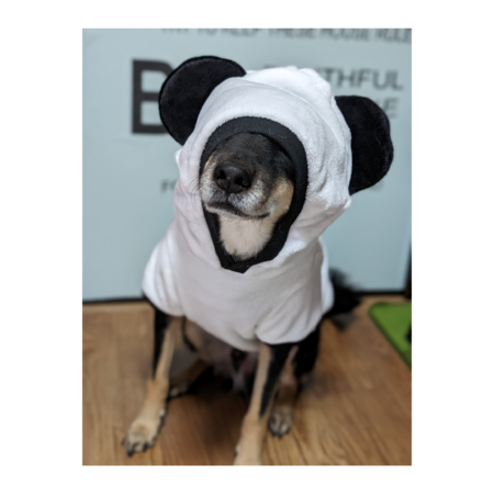 183c7eb1 8f3e 4981 8410 b82c1620ccbf s