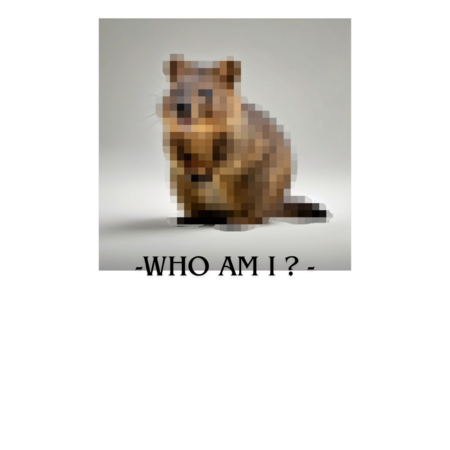 4ab43c2e 24a1 42b1 8529 1a81969caa90 s