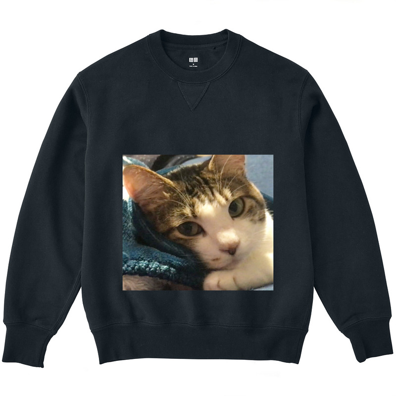 Ee8d781d 097d 4648 958f 146fb0507a11 3 print ll