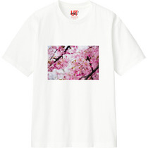 63adf598 bc0e 48aa b8df 381ba594b64a 110 print s