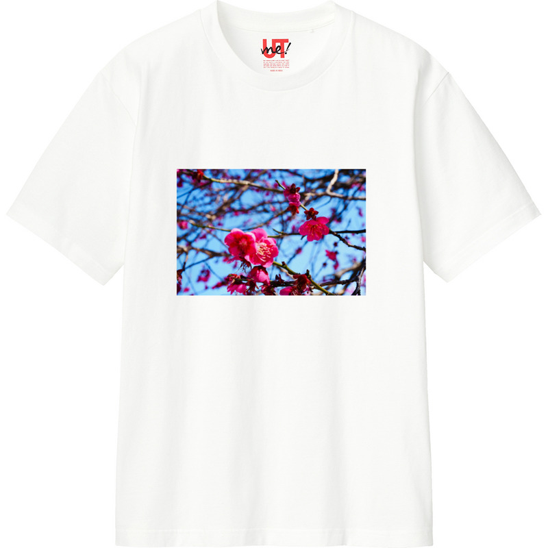 794f4f8b aede 4d5c 99c0 4bcec3a58dec 110 print ll