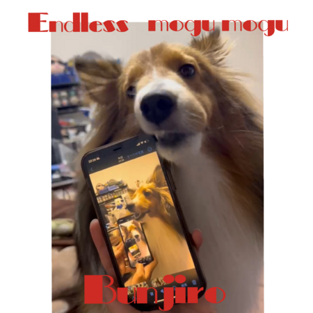 Ec3f193c 34c5 4315 8a2d bfa8a8c696e6 s