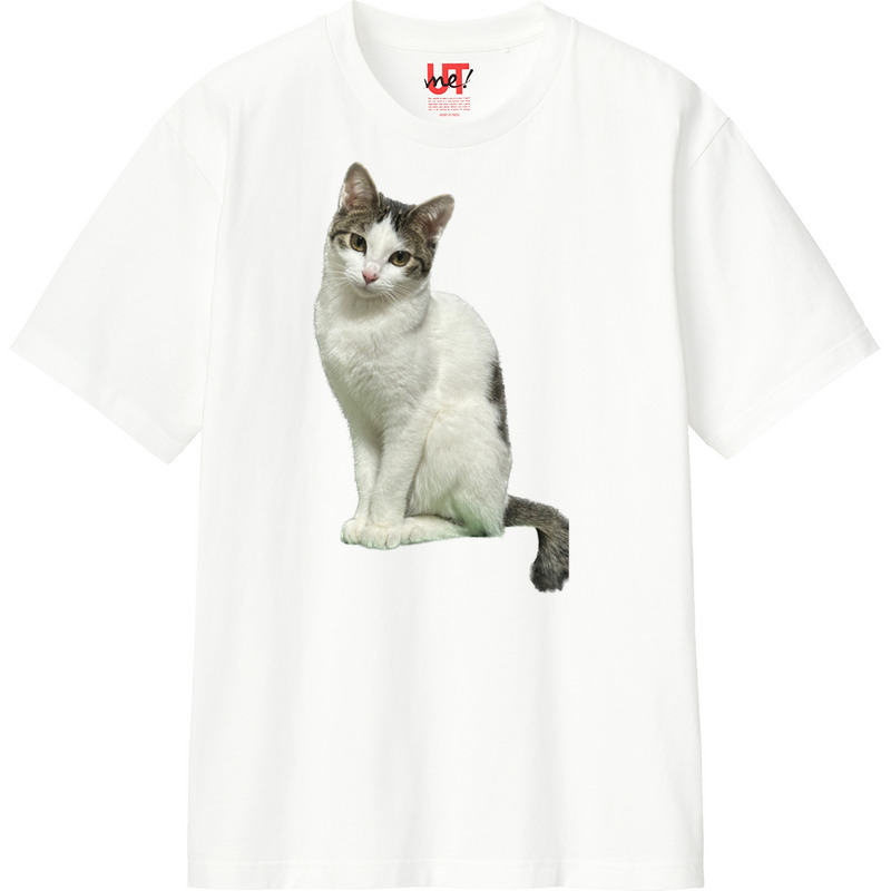 D34e9aaa c98d 4019 9c7e f452a2be6685 110 print ll