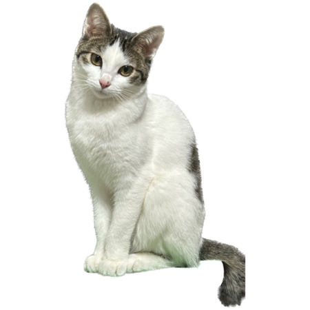 D34e9aaa c98d 4019 9c7e f452a2be6685 s