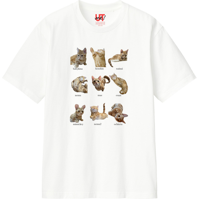 4c4fd940 df61 4797 b21d 1551baf67432 110 print ll