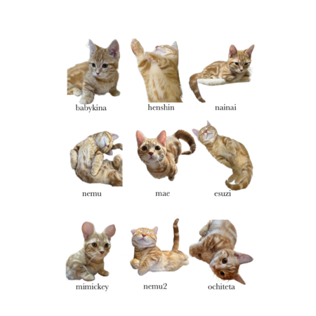 4c4fd940 df61 4797 b21d 1551baf67432 s