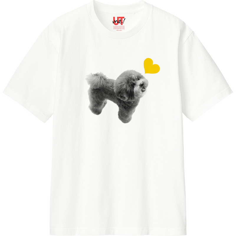 C483decd 8c92 4569 af7c ecd99b3b7915 110 print ll