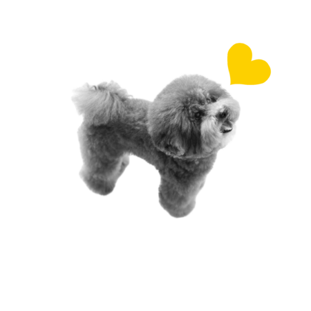 C483decd 8c92 4569 af7c ecd99b3b7915 s