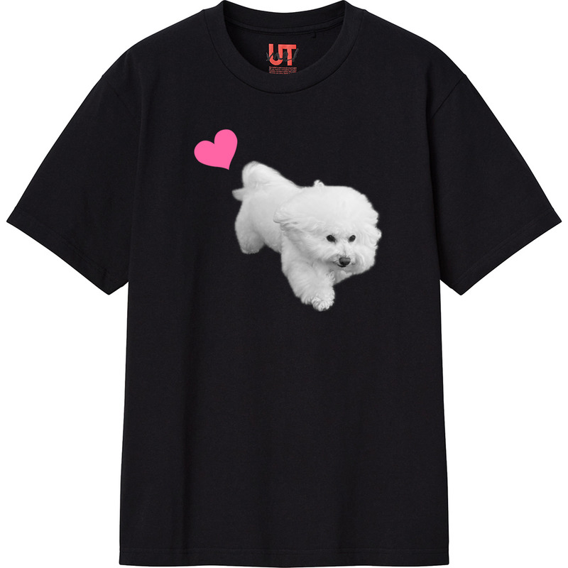 1b5905bf d753 418d 80f8 9ae11429d6ea 111 print ll