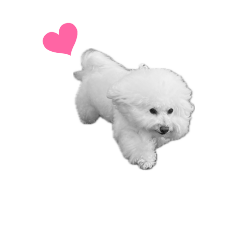 1b5905bf d753 418d 80f8 9ae11429d6ea s