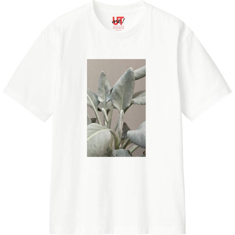 53385396 db38 4e54 90ce 5817ac99d0d6 110 print ll