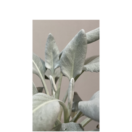 53385396 db38 4e54 90ce 5817ac99d0d6 s