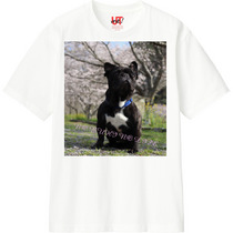 E5e27fc4 833c 4668 b3eb 2cd72cac8424 110 print s