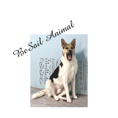 8b53cc9a ee91 4dc4 a991 512c6d5c4d6b s