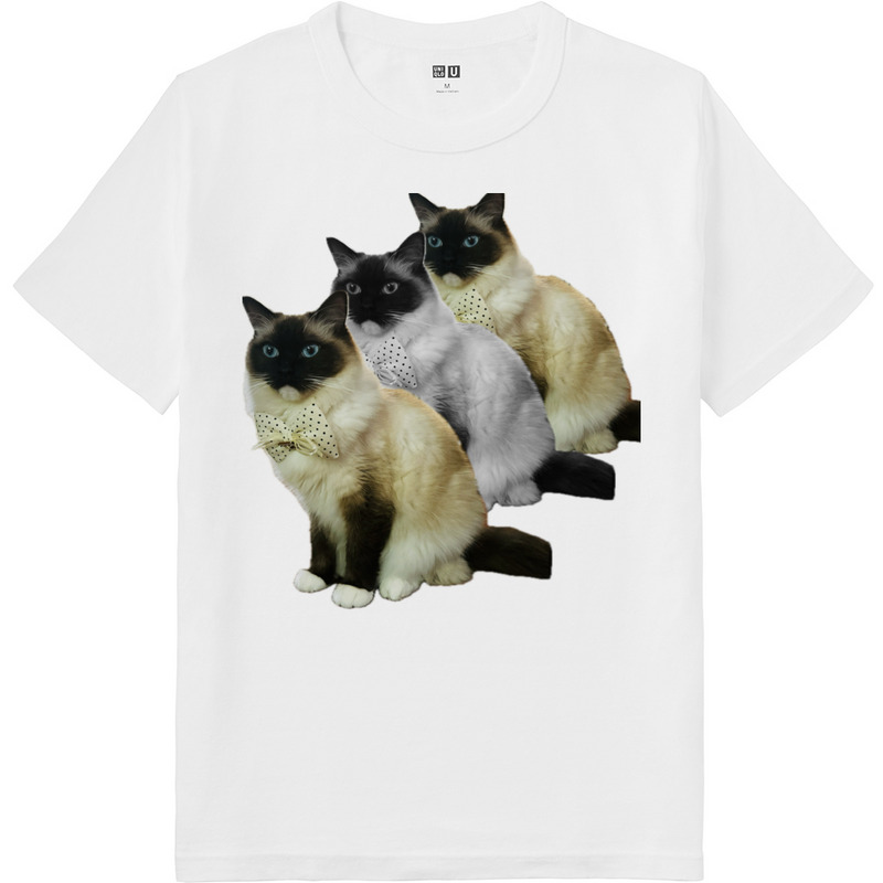 B157583f b3eb 46ba a0db a9e85e5e5efe 64 print ll