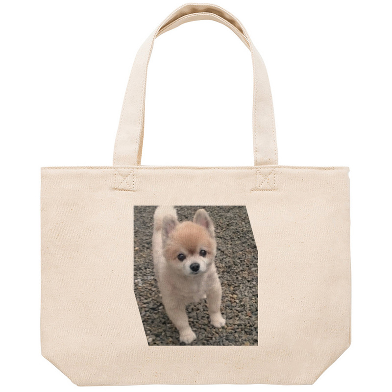 F9acaa70 6217 4b31 9a97 82a4bdaa2a68 53 print ll