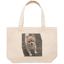 F9acaa70 6217 4b31 9a97 82a4bdaa2a68 53 print s