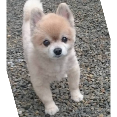 F9acaa70 6217 4b31 9a97 82a4bdaa2a68 s