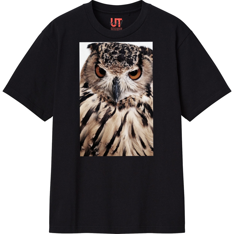 1a70433d 17e2 4cf5 a53f 572606f87f79 111 print ll