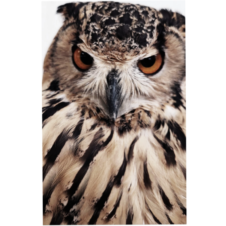 1a70433d 17e2 4cf5 a53f 572606f87f79 s