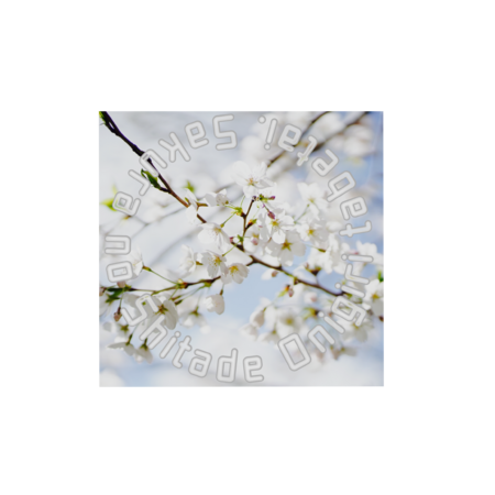 273698da b4ac 4eca 9bb3 e7b85bcb590a s