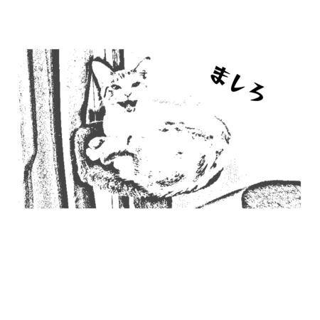 50c40fe7 0ee5 4ab8 9782 64a8cd3c359a s