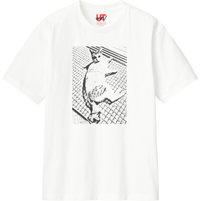 D6a46cdc 89da 43d9 bac8 264ac150d8d1 110 print ll