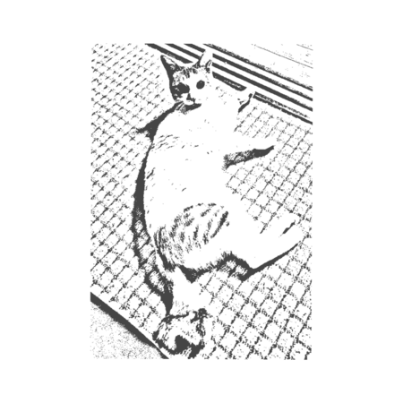 D6a46cdc 89da 43d9 bac8 264ac150d8d1 s