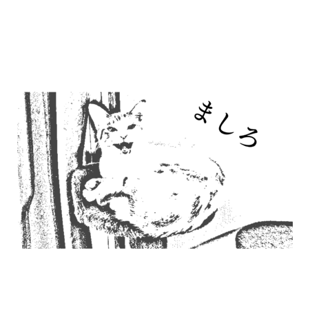 9b017243 9f9a 4fd0 910d a989c33b2821 s