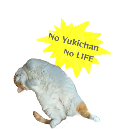 6154eb6c 57ed 4a74 975f ffb44490a367 s