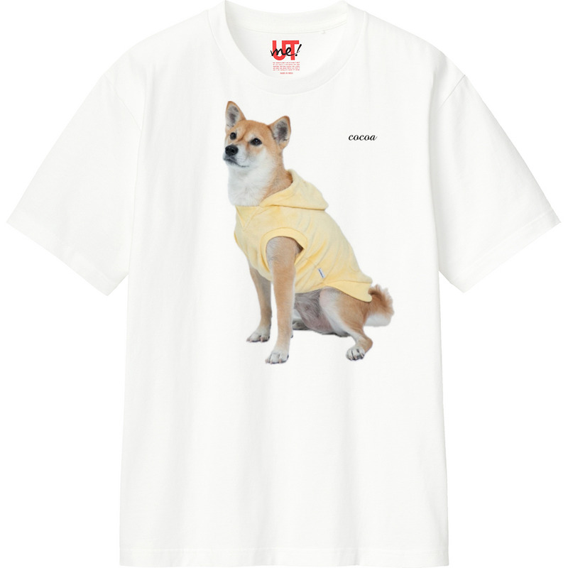 097aae48 24d2 48ae b24c a3f8516dffe3 110 print ll