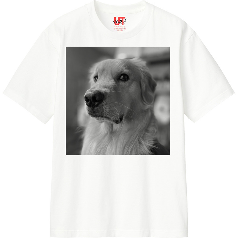 17cc3d31 d13c 4efb 907a d5206b38c9c0 110 print ll