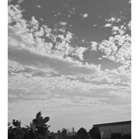 B29986c5 dd49 43d2 9340 f536d52f68c9 s