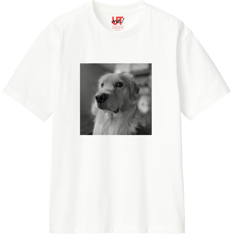 E735e135 1076 48c5 89bb b20ecd6d9dbe 110 print ll